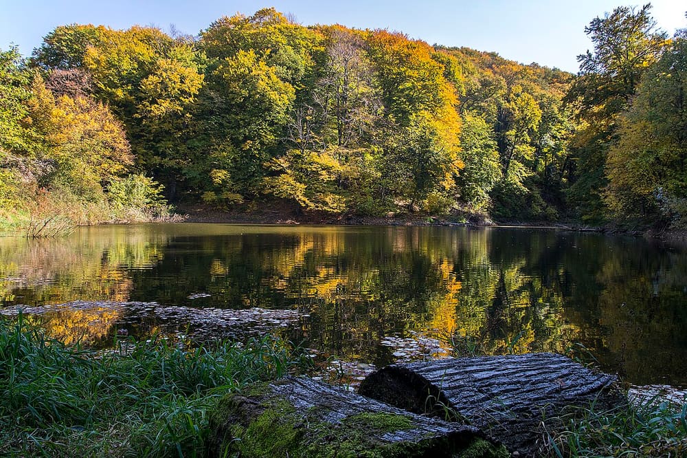 Fruška Gora National Park, Novi Sad, Serbia (Wimup)