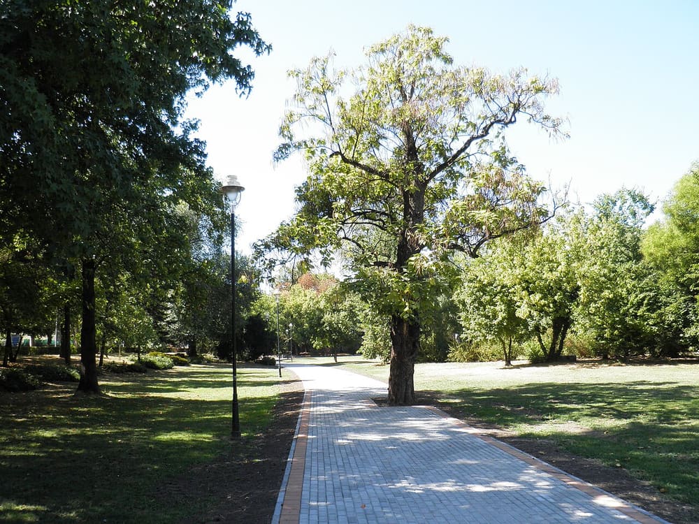 Futoški Park
