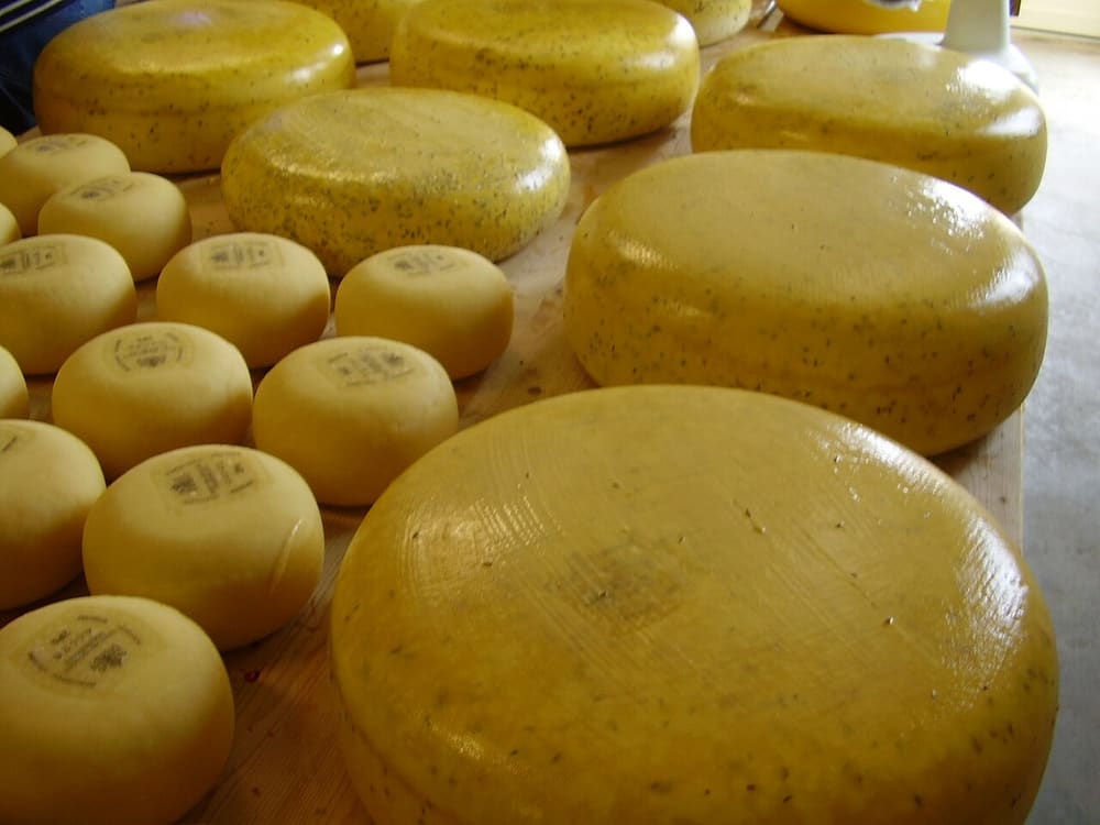 Gouda, Netherlands (Wimup)