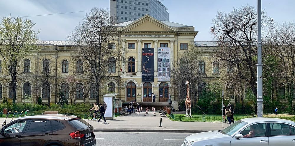 Grigore Antipa National Museum of Natural History, Bucharest, Romania (Wimup)