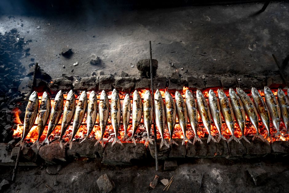 Grilled sardines, Morocco dish (Wimup)
