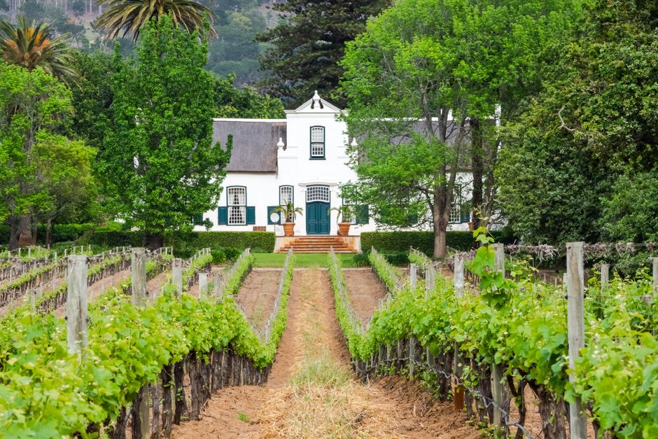 Groot Constantia