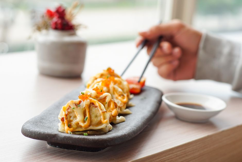 Gyoza, Japan dish (Wimup)