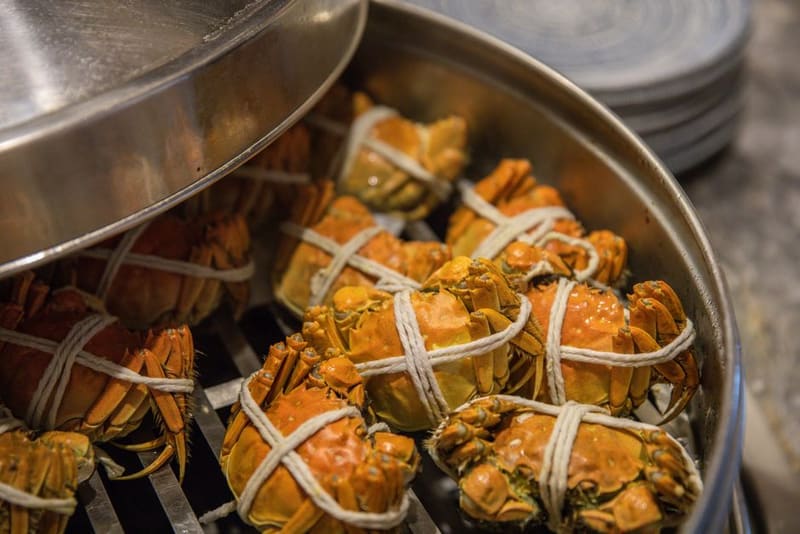 Hairy crab, Shanghai (Wimup travel guide)