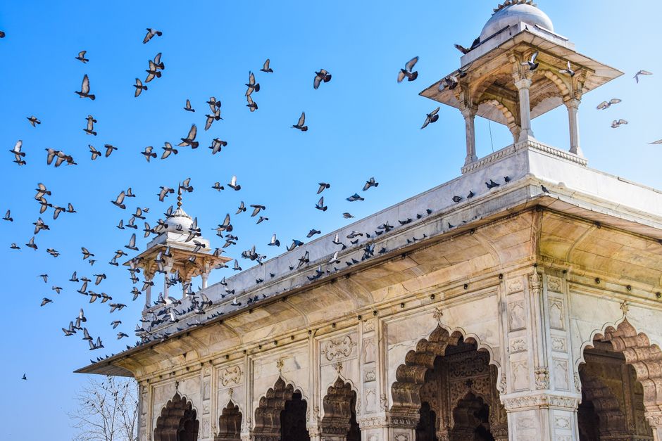 Hauz Khas