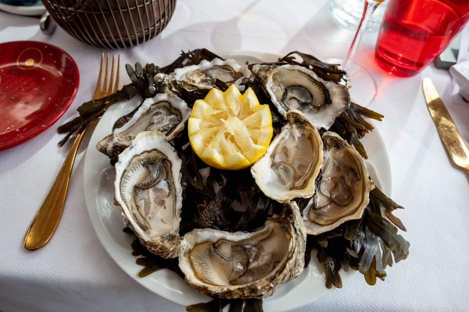 Huîtres du Bassin d'Arcachon, Bordeaux (Wimup travel guide)