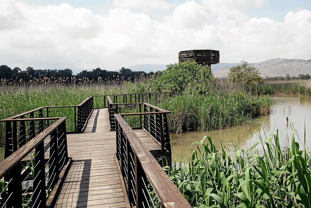 Hula Valley