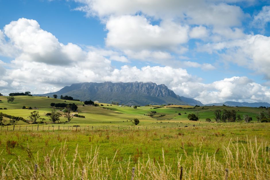 Huon Valley