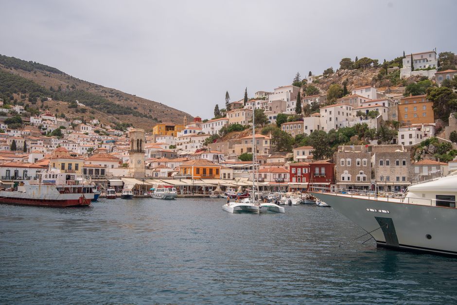 Hydra