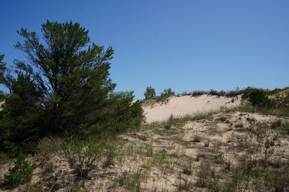 Indiana Dunes National Park