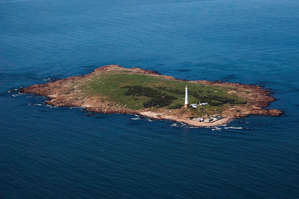 Isla de Lobos, Punta del Este (Wimup)