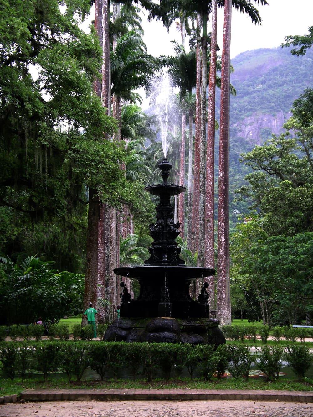 Jardim Botanico do Rio de Janeiro, Rio de Janeiro, Brazil (Wimup)
