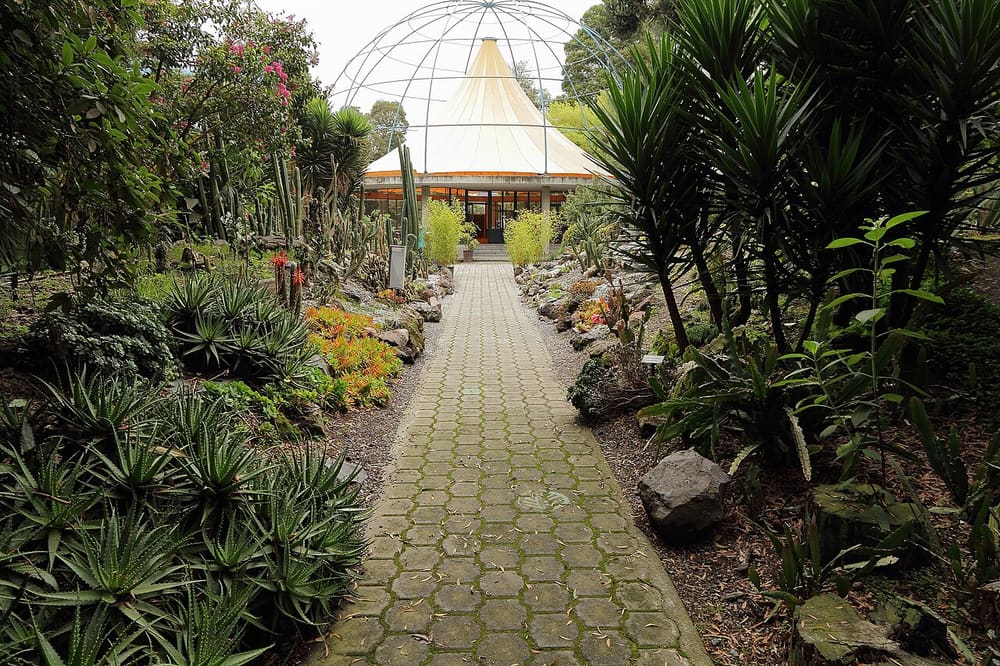 Jardín Botánico de Quito