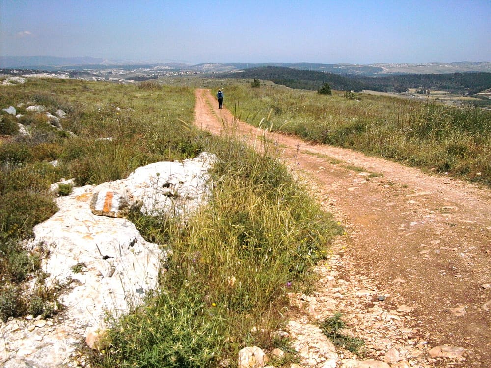 The Jesus Trail