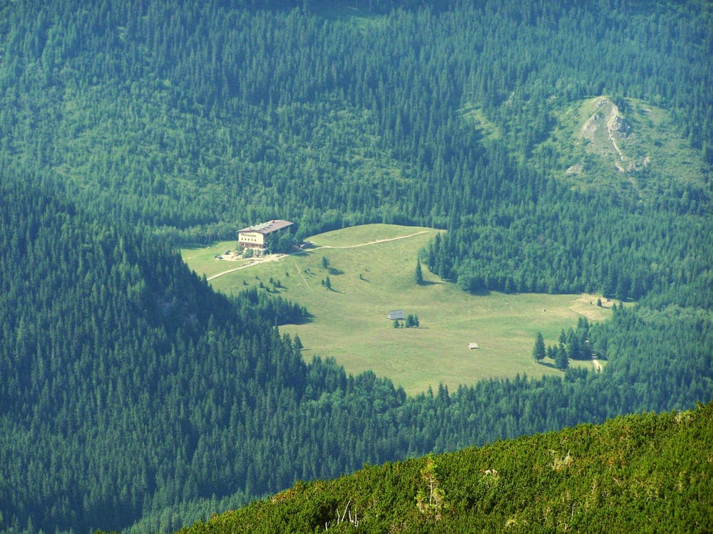 Kalatówki