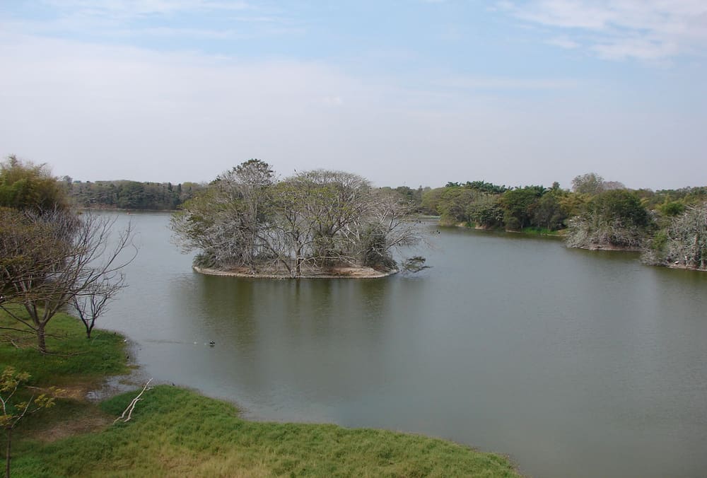 Karanji Lake, Mysore, India (Wimup)
