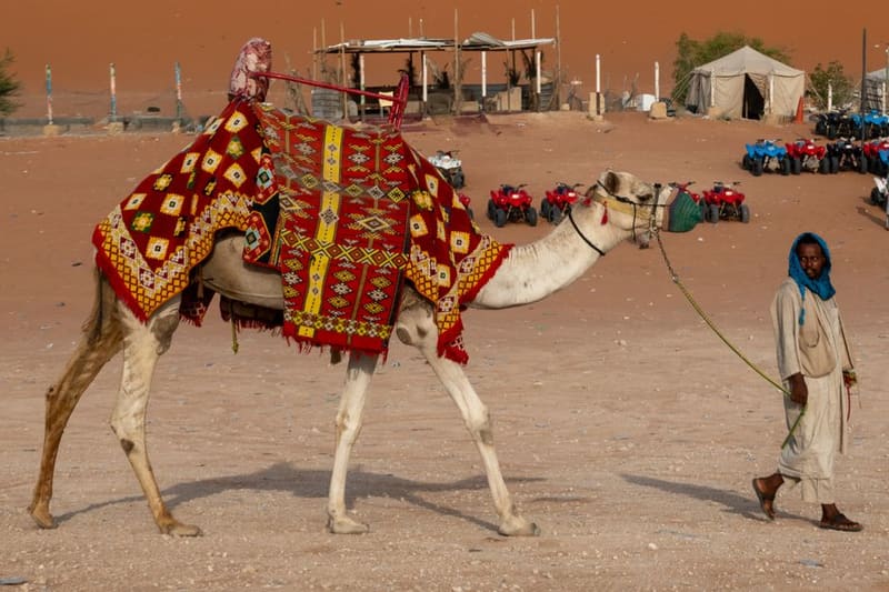 King Abdulaziz Camel Festival