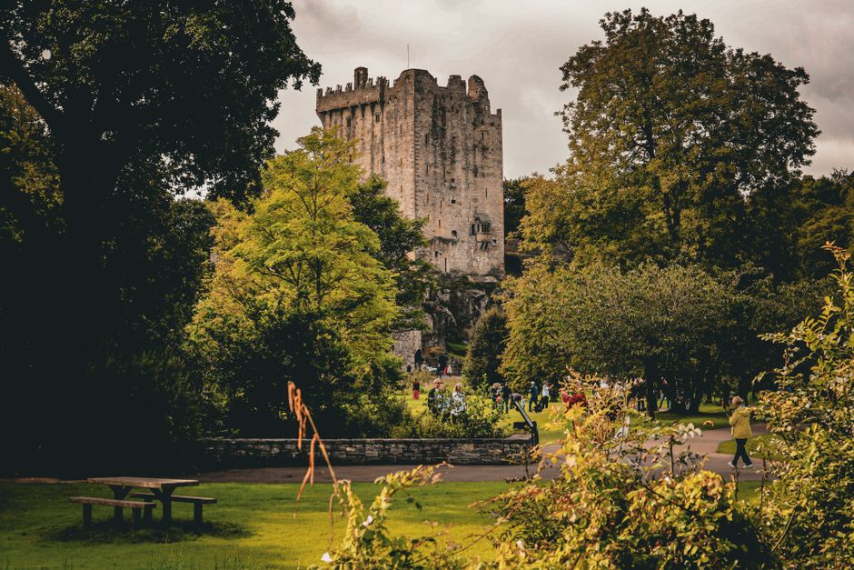Kiss the stone, then walk the gardens at Blarney Castle, Cork, Ireland