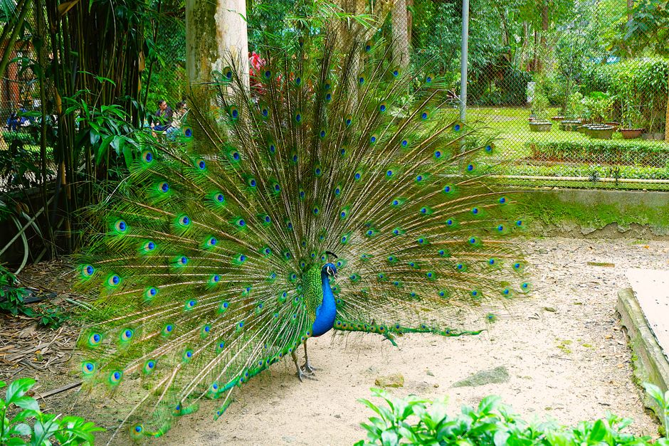 KL Bird Park and Perdana Botanical Gardens, Kuala Lumpur, Malaysia
