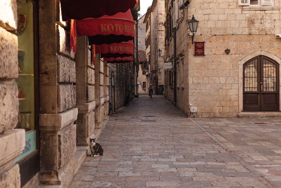 Kotor Cats Museum