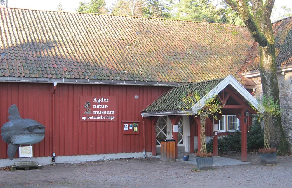 Kristiansand Museum, Kongsgård
