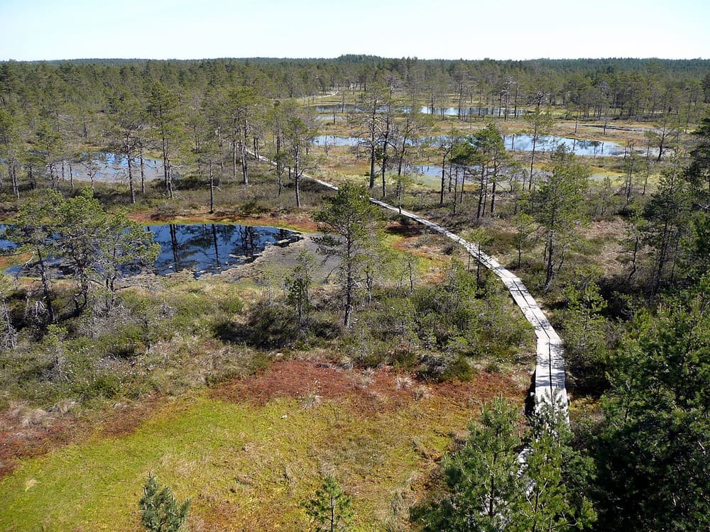 Lahemaa National Park and the Viru bog