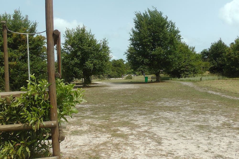 Lekki Conservation Centre, Lagos, Nigeria (Wimup)
