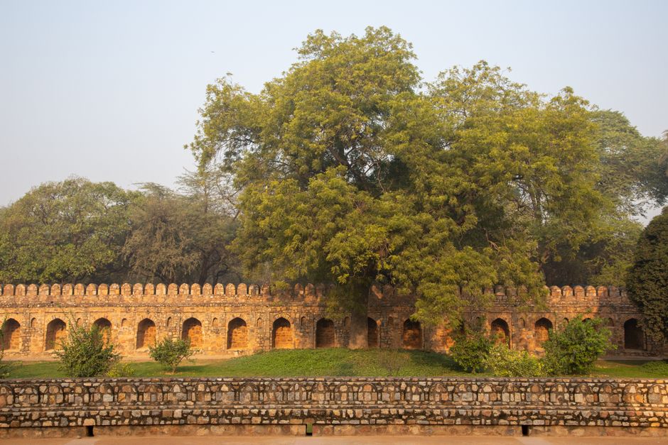 Lodhi Colony