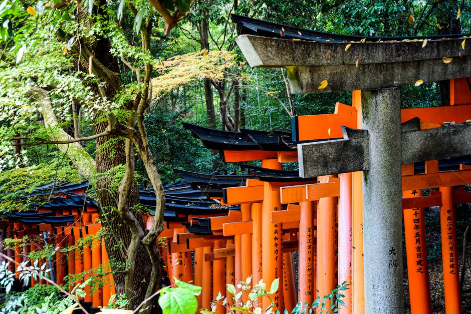 Look up at the gate of Oyama Shrine, Kanazawa, Japan