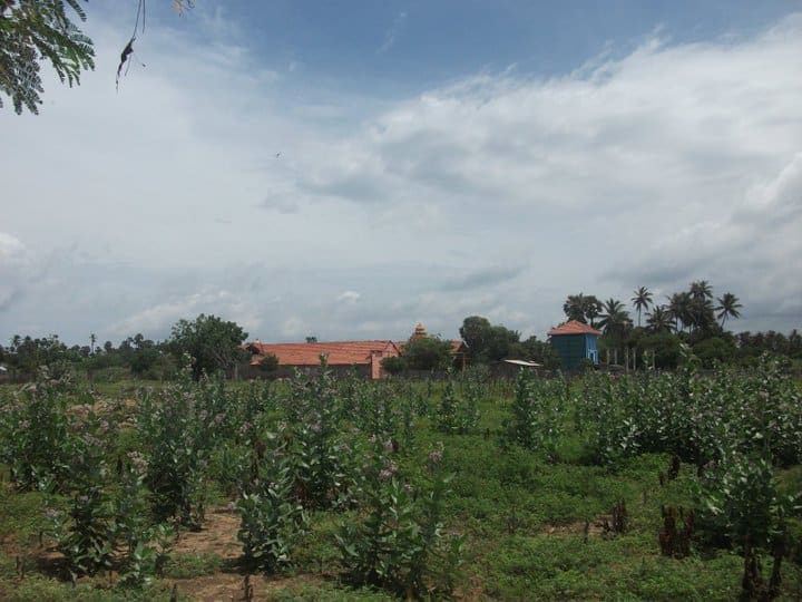 Mandaitivu