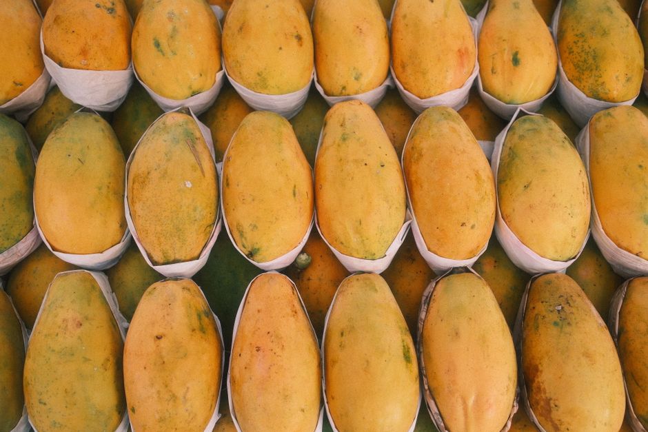Mango, Gold Coast (Wimup travel guide)