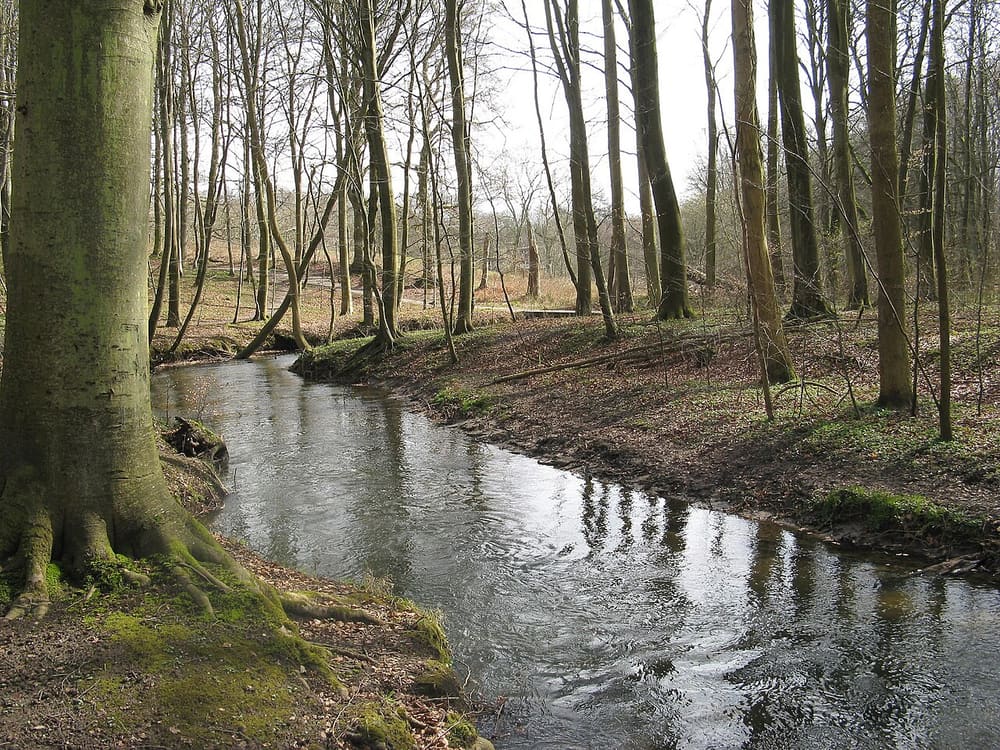Marselisborg Forests