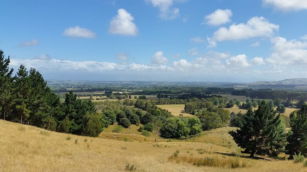 Martinborough and the Wairarapa