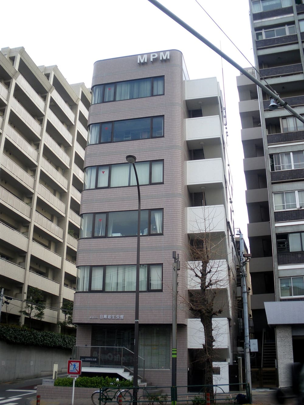 Meguro Parasitological