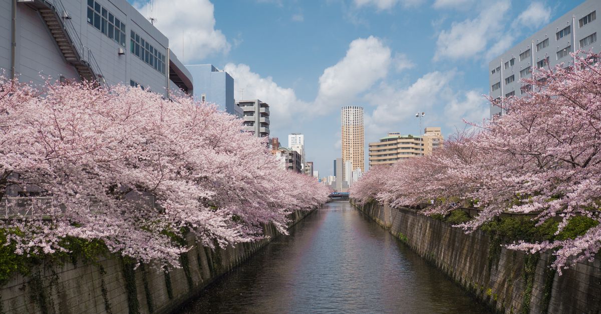 Meguro Parasitological