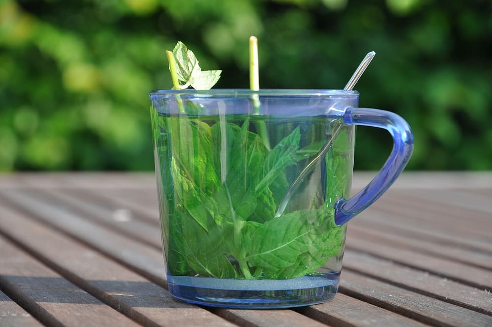 Mint tea, Morocco (Wimup)