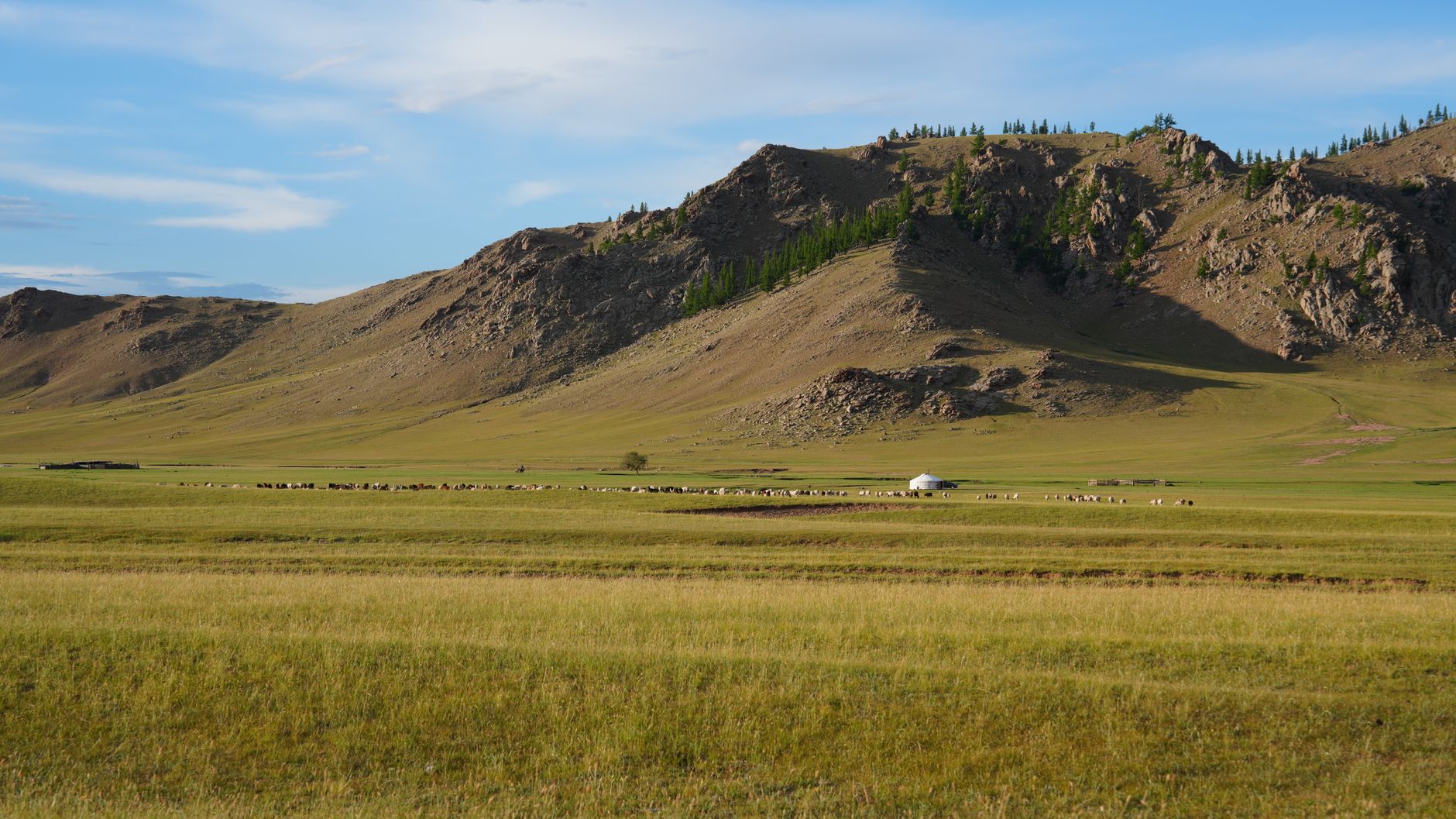 Mongolia, Wimup country guide