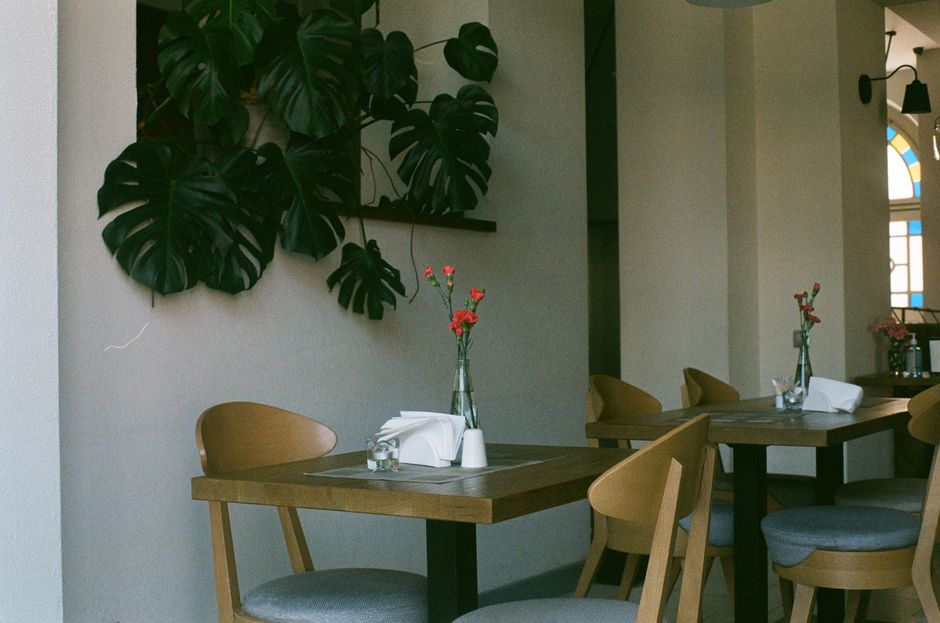 Monstera Bistro