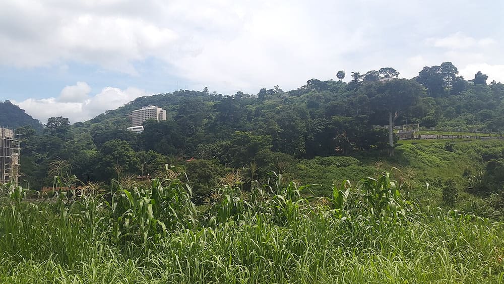 Mont Fébé, Yaounde, Cameroon (Wimup)
