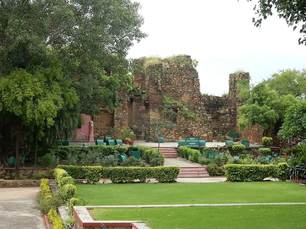 Moti Magri