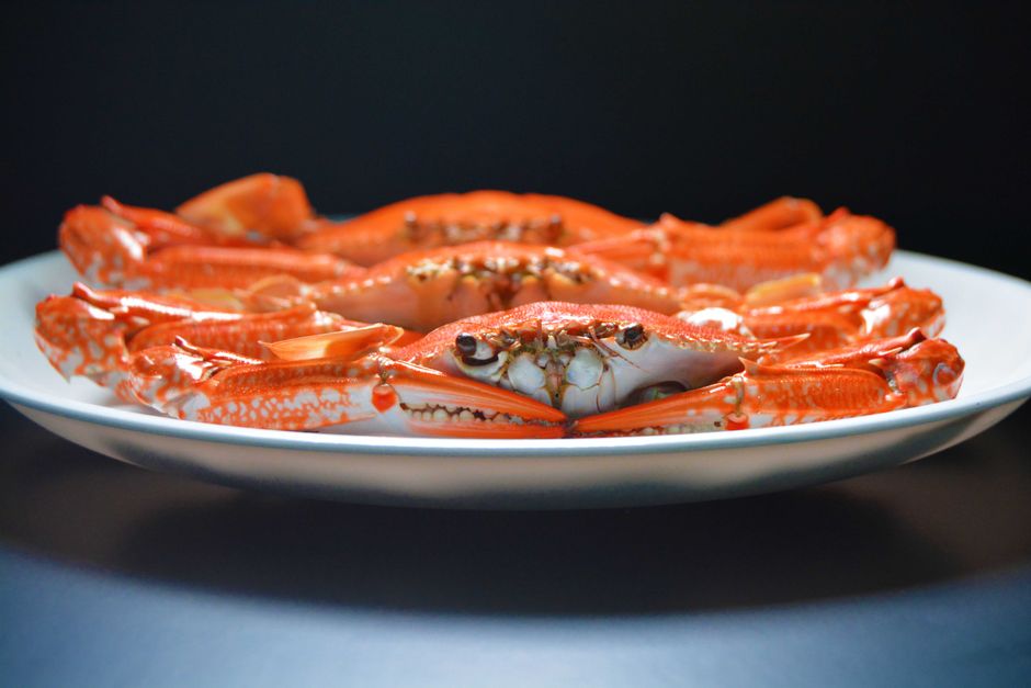 Mud crab, Brisbane (Wimup travel guide)