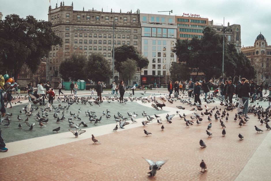 MUHBA Plaça del Rei