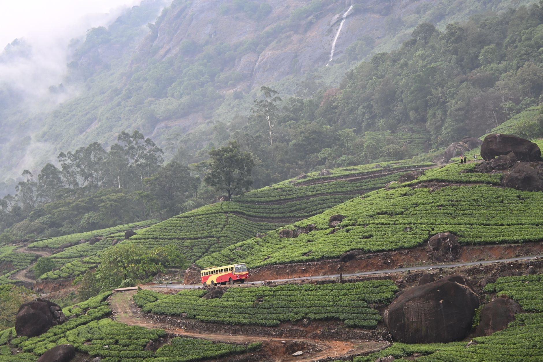 Munnar, India (Wimup)