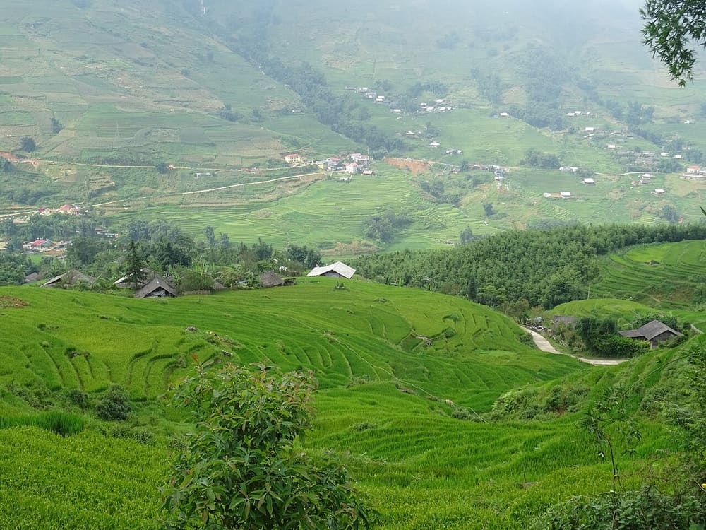 Muong Hoa Valley, Sa Pa, Vietnam (Wimup)