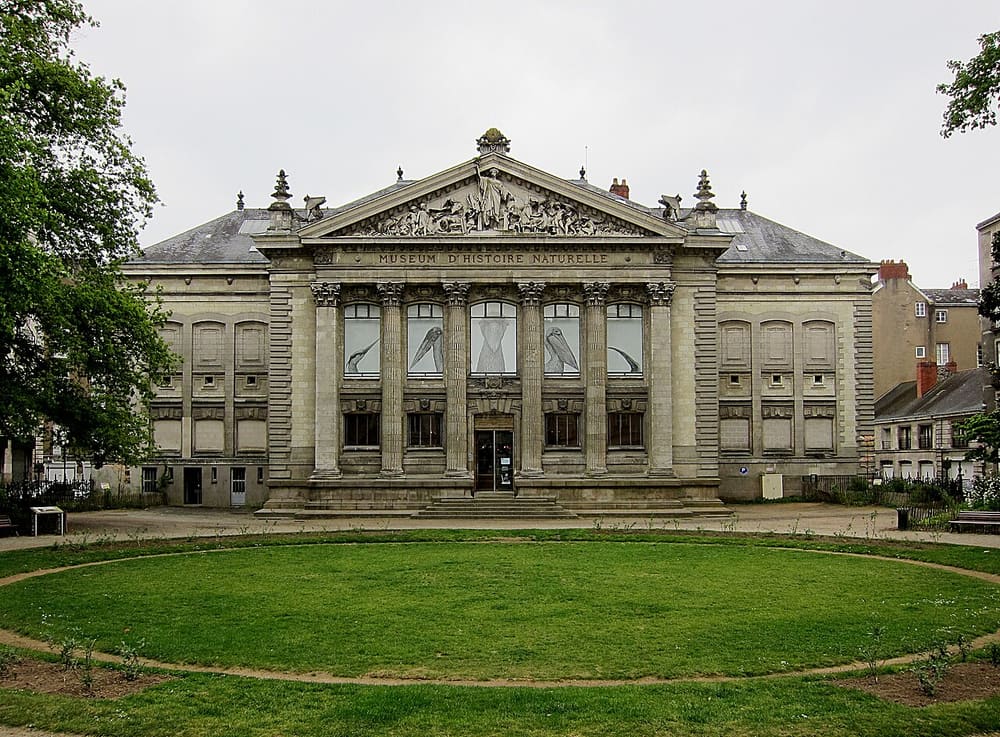 Muséum d'histoire naturelle
