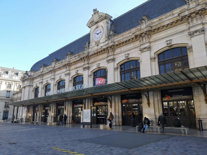 Muséum de Bordeaux, sciences et nature