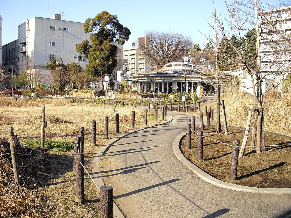 Nakameguro