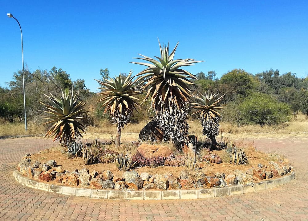 National Botanical Garden, Gaborone, Botswana (Wimup)