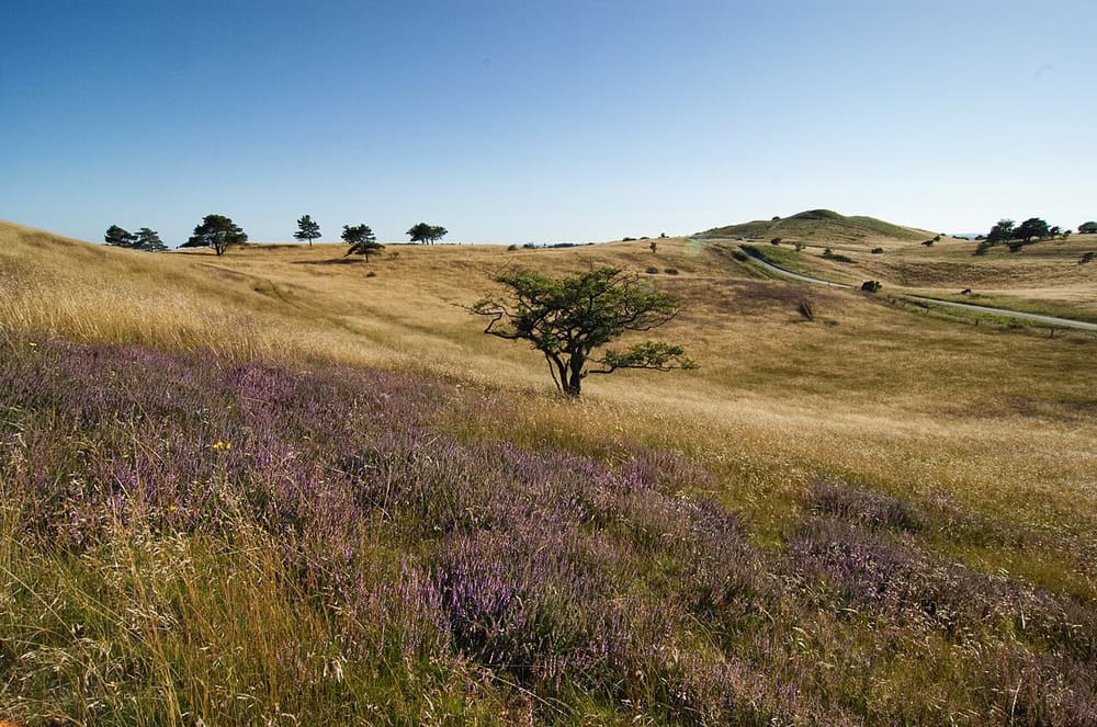 Mols Bjerge National Park