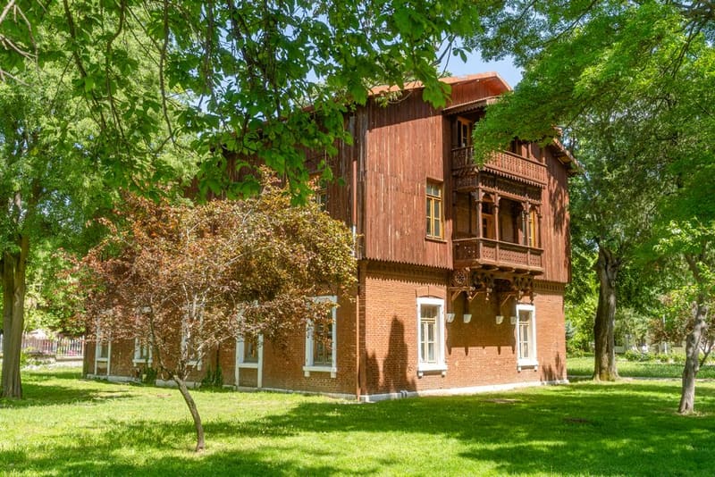 Nedkovich House